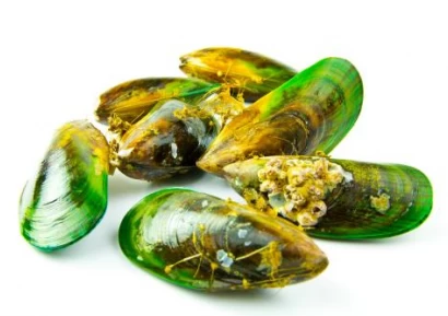 ЗЕЛЕНОУСТА МИДА - КРАЙ НА СТАВНИТЕ БОЛКИ И ВЪЗПАЛЕНИЯТА