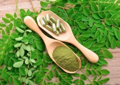 МОРИНГА - РАСТЕНИЕТО, КОЕТО ПОМАГА ПРИ 300 БОЛЕСТИ