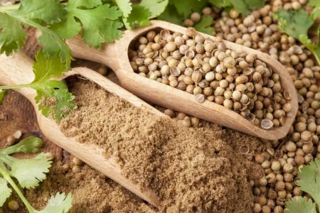 КОРИАНДЪР ПОЛЗИ | ЗА КАКВО И КАК СЕ ИЗПОЛЗВА ПОДПРАВКАТА