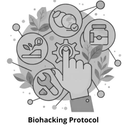 Полова система