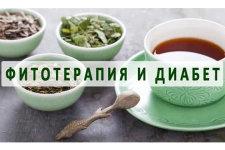 БИЛКИ ЗА ДИАБЕТ | ДИАБЕТ ТИП 2 | ДИАБЕТ ТИП 1