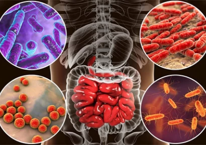 ДИСБАКТЕРИОЗА | ВЪЗСТАНОВЯВАНЕ СЛЕД АНТИБИОТИЦИ