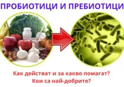 ПРОБИОТИЦИ | ПРЕБИОТИЦИ | КАК И ЗА КАКВО ПОМАГАТ, РАЗЛИКИ