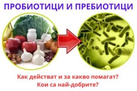 ПРОБИОТИЦИ | ПРЕБИОТИЦИ | КАК И ЗА КАКВО ПОМАГАТ, РАЗЛИКИ
