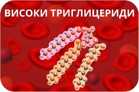 ВИСОКИ ТРИГЛИЦЕРИДИ-КАК СЕ СВАЛЯТ | ЛЕКАРСТВА, БИЛКИ, ДИЕТИ