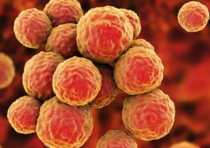 СТАФИЛОКОКИ - КАК СЕ ЛЕКУВАТ | АНТИБИОТИК ЗА СТАФИЛОКОКИ