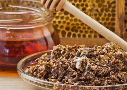 ПРОПОЛИС ПОЛЗИ | КАК СЕ ПРИЕМА И КАКВО ЛЕКУВА