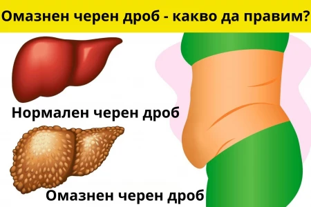 ХАПЧЕТА ЗА ОМАЗНЕН ЧЕРЕН ДРОБ | НАРОДНО ЛЕЧЕНИЕ И БИЛКИ