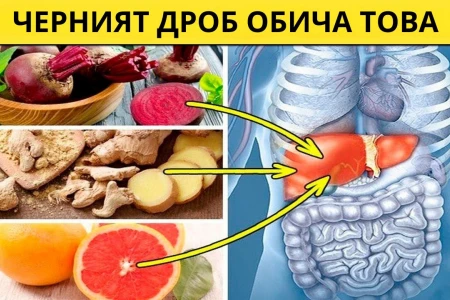 ЗАБРАНЕНИ ХРАНИ ПРИ УВЕЛИЧЕН ЧЕРЕН ДРОБ