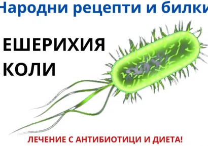 НАРОДНИ РЕЦЕПТИ ЗА ЕШЕРИХИЯ КОЛИ | АНТИБИОТИК И ДИЕТА