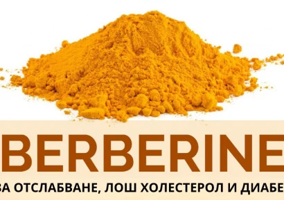 ОТСЛАБВАНЕ С БЕРБЕРИН | БЕРБЕРИН ПОЛЗИ И СТРАНИЧНИ ЕФЕКТИ