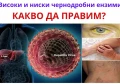 ПОВИШЕНИ ЧЕРНОДРОБНИ ЕНЗИМИ | БИЛКИ, ДИЕТА И ЛЕКАРСТВА