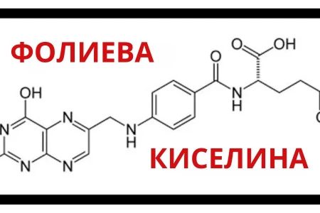 ФОЛИЕВА КИСЕЛИНА ПОЛЗИ | ФОЛИЕВА КИСЕЛИНА ЗА БРЕМЕННИ