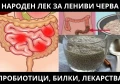 НАРОДЕН ЛЕК ЗА ЛЕНИВИ ЧЕРВА | БИЛКИ, ПРОБИОТИЦИ И ЛЕКАРСТВА