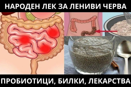 НАРОДЕН ЛЕК ЗА ЛЕНИВИ ЧЕРВА | БИЛКИ, ПРОБИОТИЦИ И ЛЕКАРСТВА