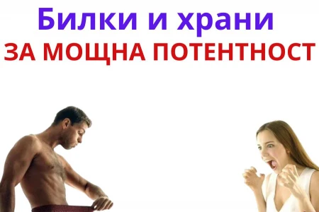 НАЙ-ДОБРОТО ЛЕКАРСТВО ЗА ПОТЕНТНОСТ - БИЛКИ И ХРАНИ