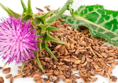 МАСЛО ОТ БЯЛ ТРЪН ПОЛЗИ И ПРОТИВОПОКАЗАНИЯ