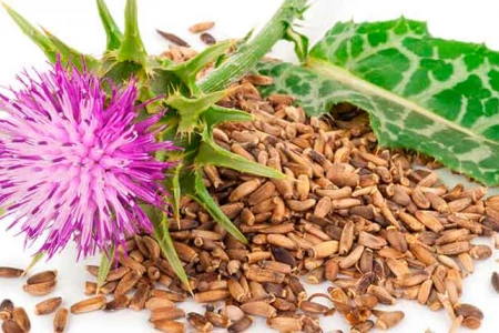 МАСЛО ОТ БЯЛ ТРЪН ПОЛЗИ И ПРОТИВОПОКАЗАНИЯ