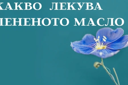 КАКВО ЛЕКУВА ЛЕНЕНО МАСЛО | КАК СЕ ПРИЕМА