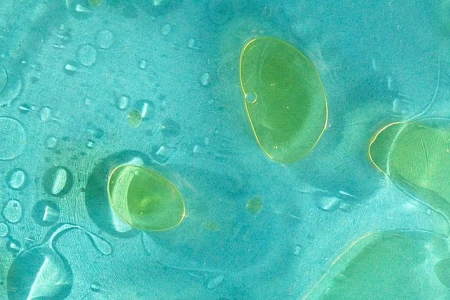 НАРОДНА МЕДИЦИНА ЗА СВАЛЯНЕ НА ТРИГЛИЦЕРИДИ