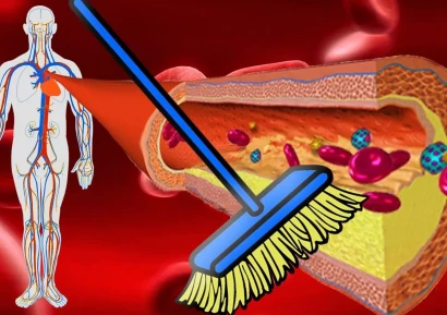 ПРОЧИСТВАНЕ НА КРЪВОНОСНИТЕ СЪДОВE | БИЛКИ И ДОБАВКИ