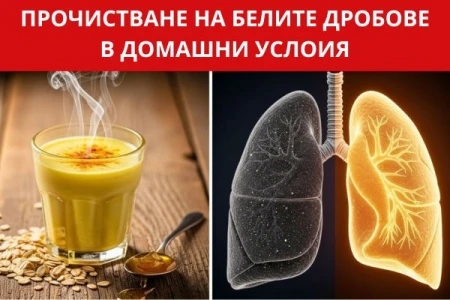 ДОМАШНИ РЕЦЕПТИ ЗА ПРОЧИСТВАНЕ НА БЕЛИТЕ ДРОБОВЕ