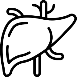 Черен дроб и жлъчка