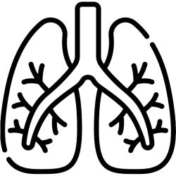 Дихателна система