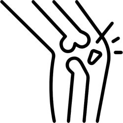 Стави, връзки и сухожилия