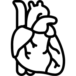 Сърдечно-съдова система