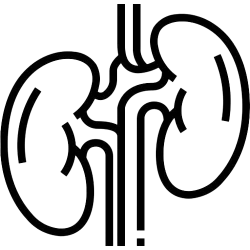 Уринарен тракт