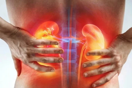 ТУБЕРКУЛОЗА НА БЪБРЕЦИТЕ | ПРИЧИНИ, СИМПТОМИ, ЛЕЧЕНИЕ