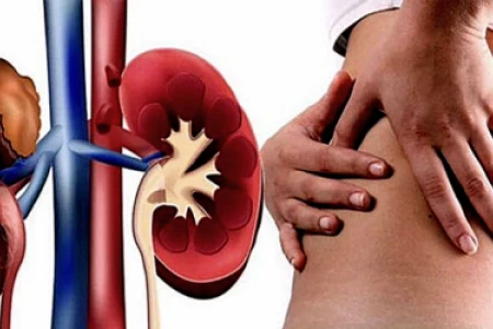 БЪБРЕЧНА НЕДОСТАТЪЧНОСТ СИМПТОМИ | КОЛКО ВРЕМЕ СЕ ЖИВЕЕ