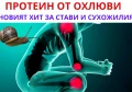 ЕКСТРАКТ ОТ ОХЛЮВИ ЗА СТАВИ | КАК ДЕЙСТВА И ЗА КАКВО ПОМАГА